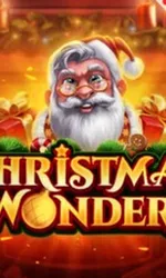 Christmas Wonders