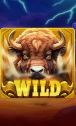 Buffalo Power Claw: Hold and Win